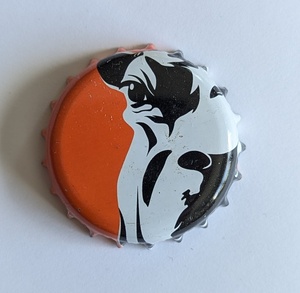 Vache orange, 2026-03-12